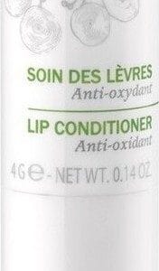 20151002110259 caudalie lip conditioner stick